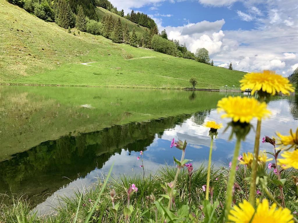 Pension Heidelberg - Fam Fuchs Hopfgarten im Brixental Luaran gambar