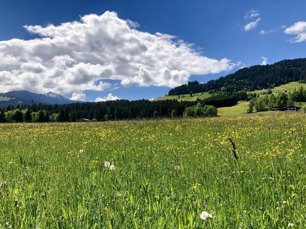 Pension Heidelberg - Fam Fuchs Hopfgarten im Brixental Luaran gambar