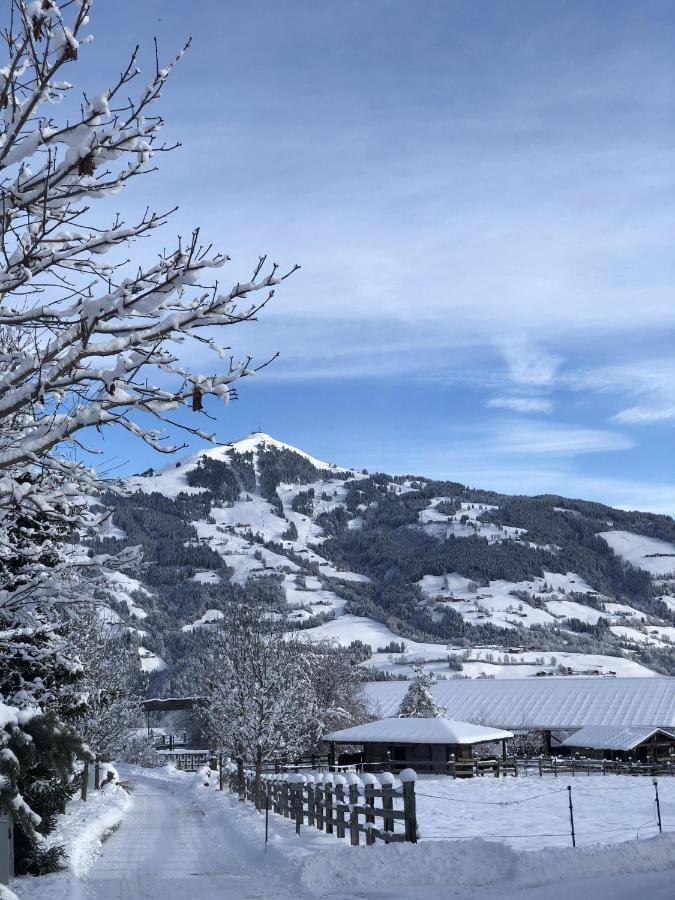 Pension Heidelberg - Fam Fuchs Hopfgarten im Brixental Luaran gambar